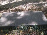 image of grave number 526632
